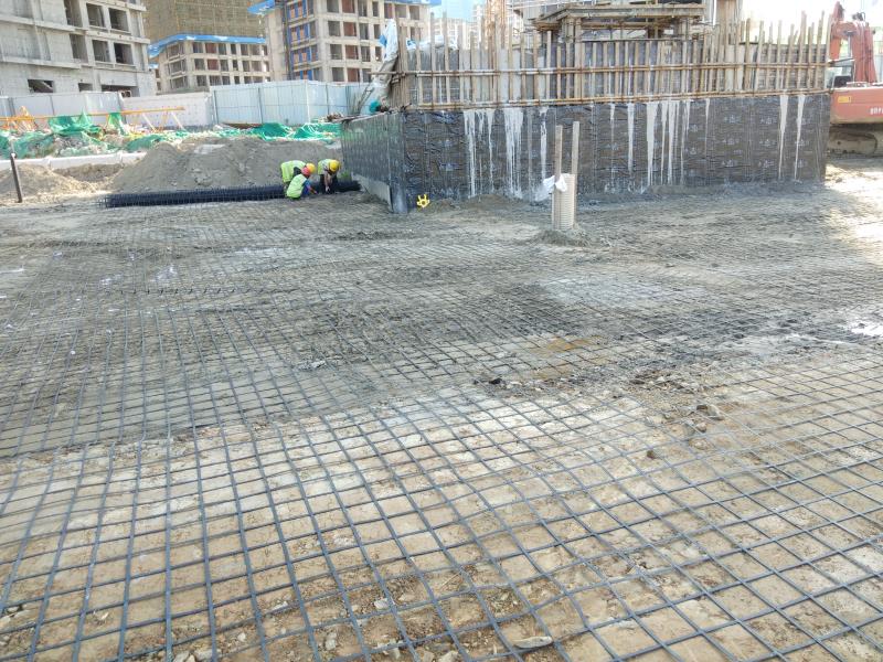 鋼塑格柵的應(yīng)用特點(diǎn)