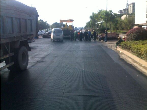 遼寧土工格柵施工現場